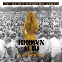 V/A - Brown Acid: The Tenth Trip (colour) LP