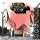 DATURA4 - Blessed Is The Boogie (colour) LP