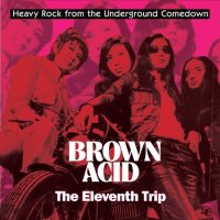 V/A - Brown Acid: The Eleventh Trip (colour) LP