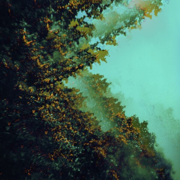 POLYMOON - Caterpillars Of Creation LP