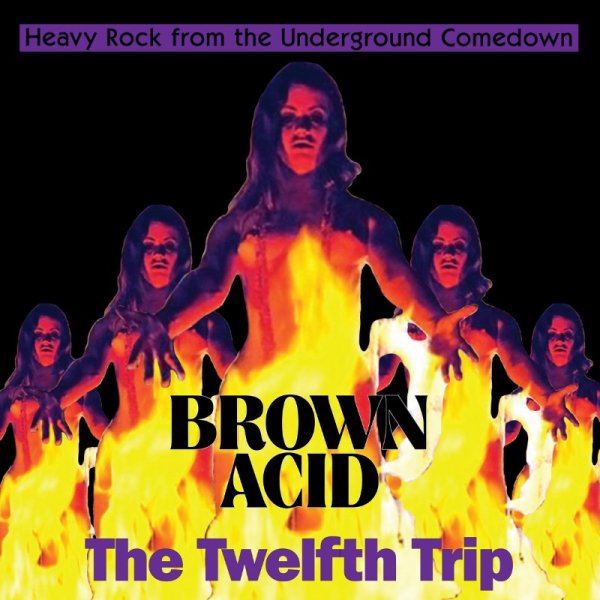 V/A - Brown Acid: The Twelfth Trip (colour) LP