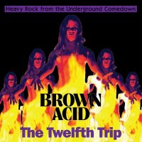 V/A - Brown Acid: The Twelfth Trip (colour) LP