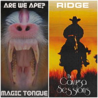 ARE WE APE? / RIDGE - Split (red/black splatter) LP