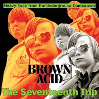 V/A - Brown Acid: The Seventeenth Trip (black) LP