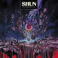 SHUN - Dismantle (neon magenta) LP