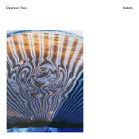 ELEPHANT TREE - Habits (orange/white marbled) LP