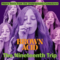 V/A - Brown Acid: The Nineteenth Trip (colour) LP