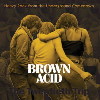 V/A - Brown Acid: The Twentieth Trip CD