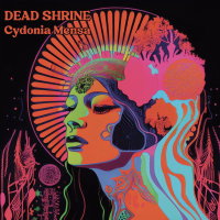 DEAD SHRINE - Cydonia Mensa (neon orange+black/neon...