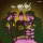 EYES, THE - My Degeneration (black) LP