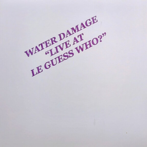 WATER DAMAGE - Live At Le Guess Who?