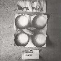 SATIN WHALE - Desert Places LP