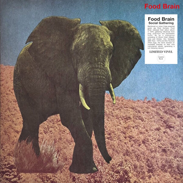 FOOD BRAIN - Social Gathering LP