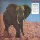 FOOD BRAIN - Social Gathering LP