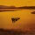 COL. TRUCK - One Fine Day (black) LP