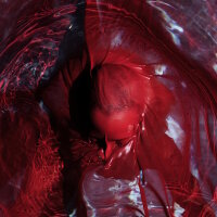 BLACKWATER HOLYLIGHT - Not Here Not Gone (black - 180g) LP