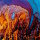 MEADOWS & IO - Above And Below 2LP