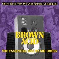 BROWN ACID - The Essential Mix (by Mr Dibbs) CD