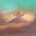 RIVER FLOWS REVERSE - The Homing Birds Trace (black) LP