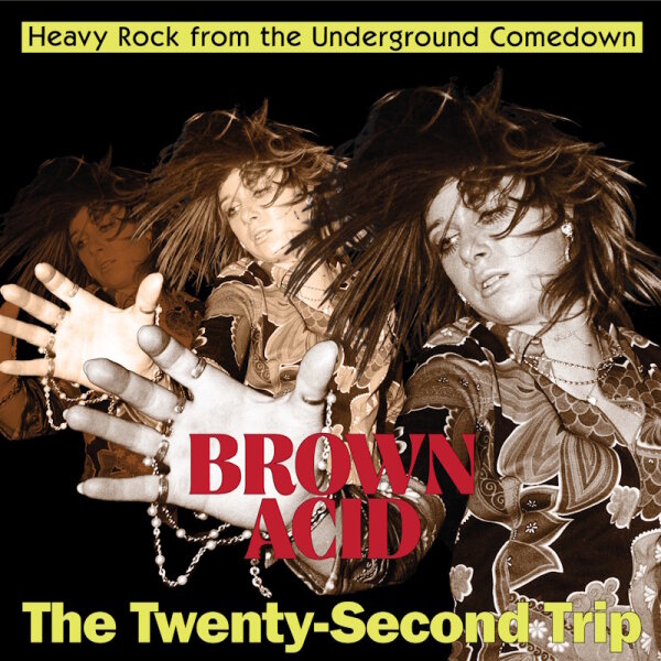 V/A - Brown Acid: The Twenty-Second Trip (colour) LP