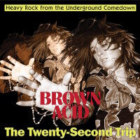 V/A - Brown Acid: The Twenty-Second Trip (colour) LP