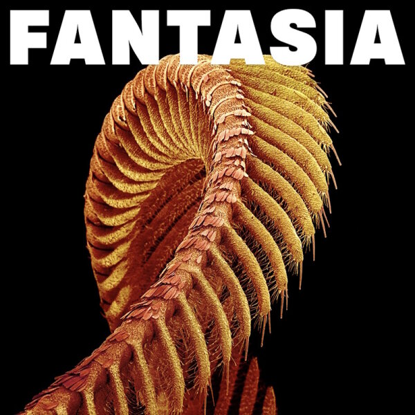 SLIFT - Fantasia CD