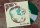 AUNT CYNTHIAS CABIN - Mud Room #13 (green/white/green striped) LP