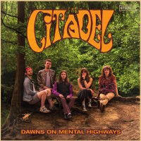 CITADEL, THE - Dawns On Mental Highways (green smoke) LP