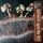 BROWN SPIRITS - Brown Spirits #2 (yellow) LP