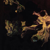 DEN DER HALE - Larking About (oxblood red) LP