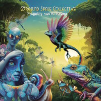 ORESUND SPACE COLLECTIVE - Progably You’re Wrong...