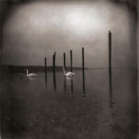 OM - Conference Of The Birds LP