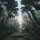 MANTRA MACHINE - Echoes Forest CD