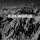 BLACK MOUNTAIN - Black Mountain (Random ReVINYL Edition) LP