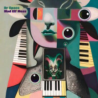 DR SPACE MAD ELF MESS - Dr Space Mad Elf Mess (clear) LP