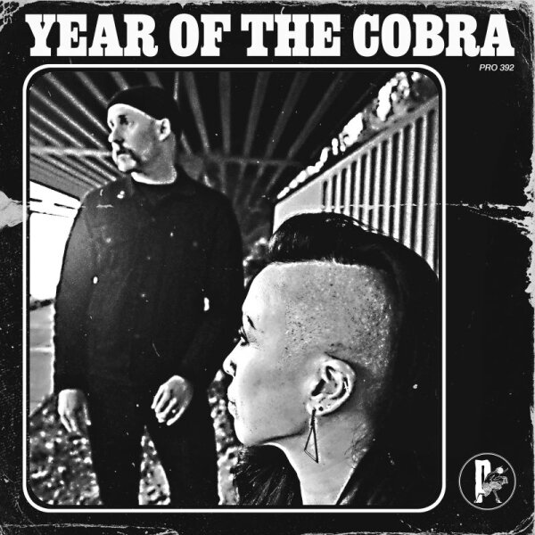 YEAR OF THE COBRA - Year Of The Cobra (random colour recycled) LP