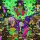 BLANCHARD, JAKE - Divination (eco vinyl) LP