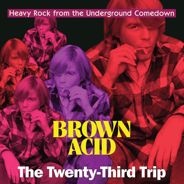 V/A - Brown Acid: The Twenty-Third Trip (colour) LP