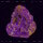 BLACK BOMBAIM & ISAIAH MITCHELL - Live In Porto (green/purple splatter) LP