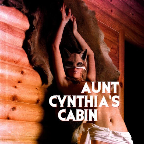 AUNT CYNTHIAS CABIN - Aunt Cynthias Cabin CD
