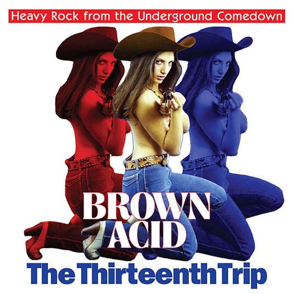 V/A - Brown Acid: The Thirteenth Trip (colour) LP