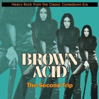 V/A - Brown Acid: The Second Trip (colour) LP