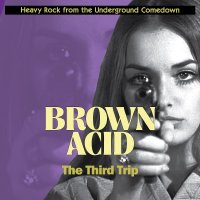V/A - Brown Acid: The Third Trip (colour) LP