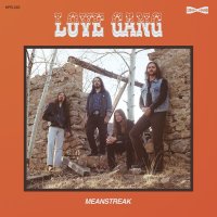 LOVE GANG - Meanstreak (orange/black quad - 100 copies...