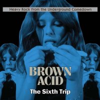 V/A - Brown Acid: The Sixth Trip (colour) LP