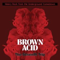 V/A - Brown Acid: The Seventh Trip (colour) LP